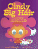 Cindy Big Hair: A Twisted (and Teased & Braided) Cinderella Story