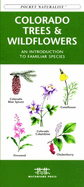 Eastern Coastal Birds: An Introduction to Familiar Species
