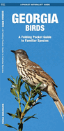 Georgia Birds: An Introduction to Familiar Species
