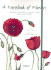 A Notebook of Flowers: 35 Plants to Gather on Garden Strolls and Country Walks