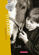 The Trickster: David