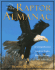 The Raptor Almanac: A Comprehensive Guide to Eagles, Hawks, Falcons, and Vultures