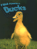 Ducks