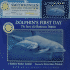 Dolphin's First Day: The Story of a Bottlenose Dolphin