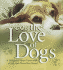 For the Love of Dogs: A Delightful Photo Celebration of Life with Man's Best Friend