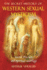 The Secret History of Western Sexual Mysticism: Sacred Practices and Spiritual Marriage