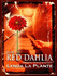 The Red Dahlia