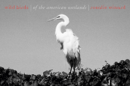 Wild Birds of the American Wetlands