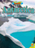 Antarctica, with Code