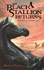 The Black Stallion Returns