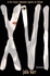 XVI (sixteen)
