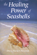 The Healing Power of Seashells