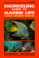 Snorkeling Guide to Marine Life: Florida, Caribbean, Bahamas