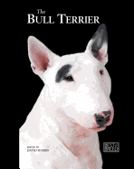Bull Terrier