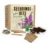 Seedbombs for Bees
