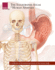 The Illustrated Atlas of Human Anatomy: A Collection of 25 Anatomical Charts of the Human Body
