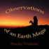 Observations of an Earth Mage