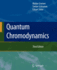 Quantum Chromodynamics