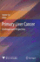 Primary Liver Cancer