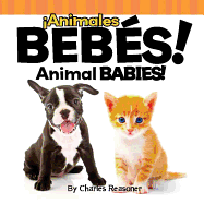 animales Bebs!: Animal Babies!