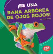 Es Una Rana Arbrea de Ojos Rojos! (It's a Red-Eyed Tree Frog!)