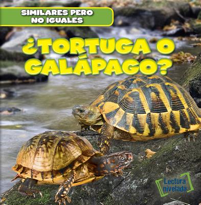 Tortuga O Galpago? (Turtle or Tortoise?) - Ryndak, Rob