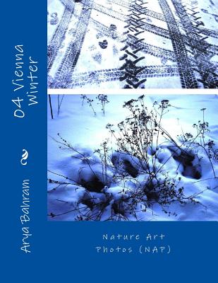 04 Vienna Winter: Nature Art Photos (NAP) - Bahram, Arya