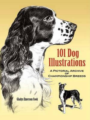 101 Dog Illustrations: A Pictorial Archive of Championship Breeds - Cook, Gladys Emerson