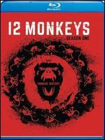 12 Monkeys: Season One [Blu-ray]