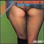 1969: Velvet Underground Live with Lou Reed, Vol.1
