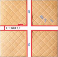 1999 Teenbeat Sampler - Various Artists