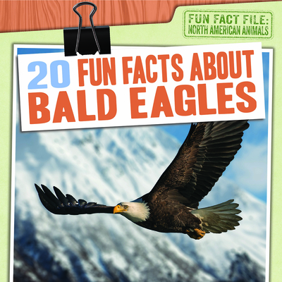 20 Fun Facts about Bald Eagles - Harts, Shannon H