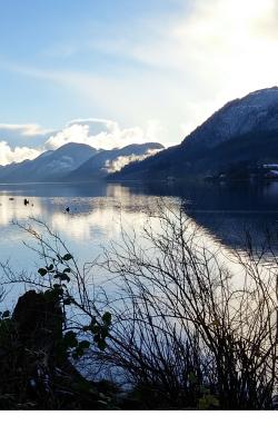 2018 Anthology Collected Works: Tahsis Inlet Outlet - Fowler, Sarah