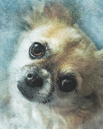 2019-2020 Academic Planner Weekly and Monthly Lovable Dog