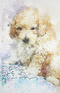2019-2020 Academic Planner Weekly and Monthly Shy Dog