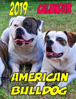 2019 Calendar American Bulldog: Dog weekly calendar, personal contacts list, password log, notes and to do list - Wittmann, Gary