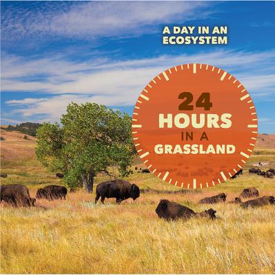 24 Hours in a Grassland - Bjorklund, Ruth