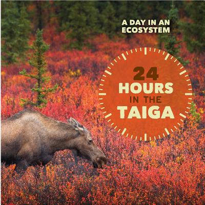 24 Hours in the Taiga - Klepeis, Alicia Z