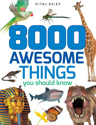 8000 Awesome Things You Should Know - Kelly, Miles