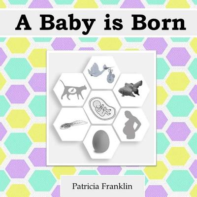 A Baby is Born - Franklin, Patricia