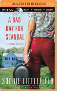 A Bad Day for Scandal: A Crime Novel