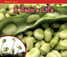 A Bean's Life