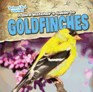 A Bird Watcher's Guide to Goldfinches