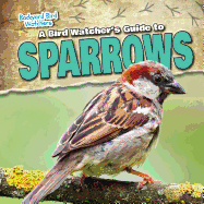 A Bird Watcher's Guide to Sparrows