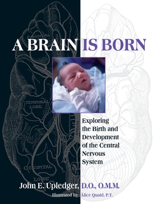 A Brain Is Born: Exploring the Birth and Development of the Central Nervous System - Upledger, John E