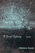 A Brief Infinity: Poems