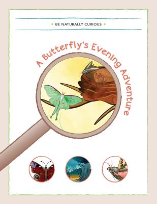 A Butterfly's Evening Adventure - Be Naturally Curious