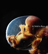 A Child is Born - Nilsson, Lennart