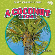 A Coconut Grows