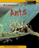 A Colony of Ants